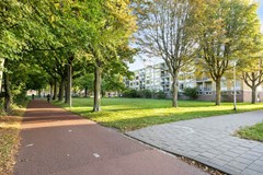 VanMaarseveenstraat315042PJTilburgNL-31.jpg