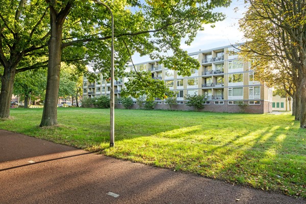 Medium property photo - Van Maarseveenstraat 31, 5042 PJ Tilburg