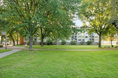 VanMaarseveenstraat315042PJTilburgNL-33.jpg