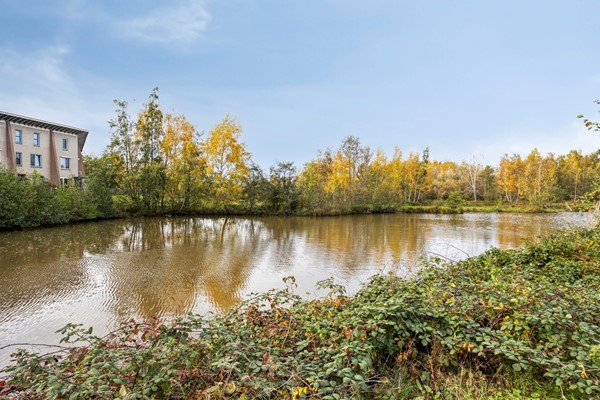 Medium property photo - Oijensingel 15, 5045 SP Tilburg