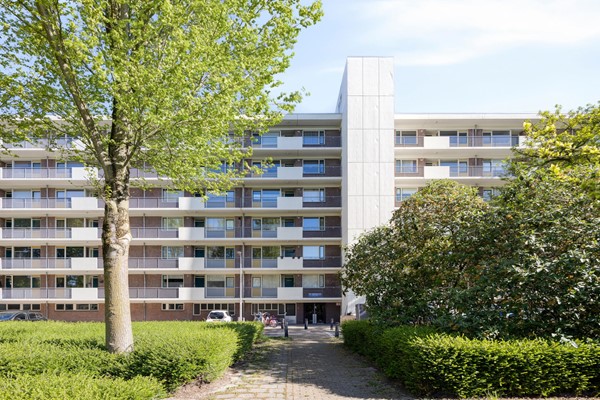 Medium property photo - Professor Cobbenhagenlaan 32, 5037 DC Tilburg