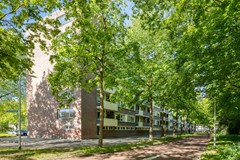 ProfessorCobbenhagenlaan325037DCTilburgNL-35.jpg