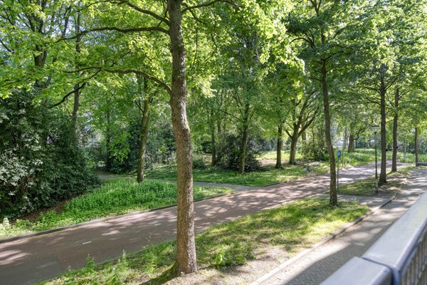 Medium property photo - Professor Cobbenhagenlaan 32, 5037 DC Tilburg