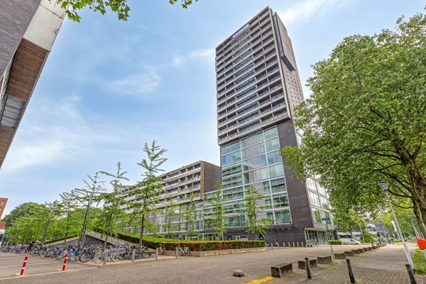 Professor de Moorplein 538, 5037DR Tilburg