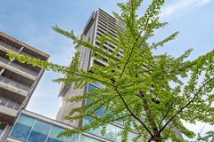 ProfessordeMoorplein5385037DRTilburg-03.jpg