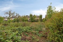 BurgemeestervanPoppelstraat1035126vcGilzeNL-35.jpg