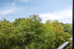 Mozartlaan4115011skTilburgNL-37.jpg