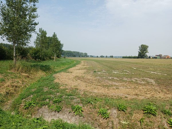 Verkocht: Nieuwe Karnemelkstraat 34, 4576BT Koewacht