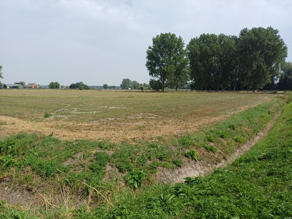 Verkocht: Nieuwe Karnemelkstraat 34, 4576BT Koewacht