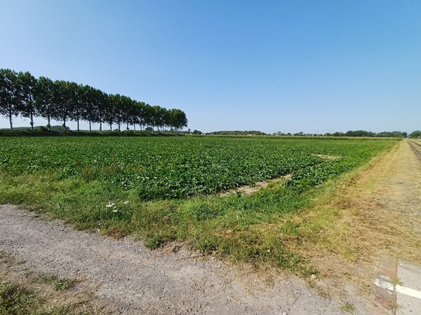 Te koop: Driekwartweg, 4551LS Sas van Gent