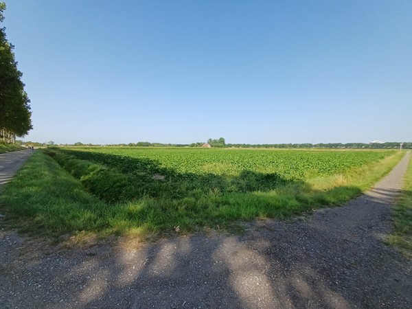 Te koop: Driekwartweg, 4551LS Sas van Gent