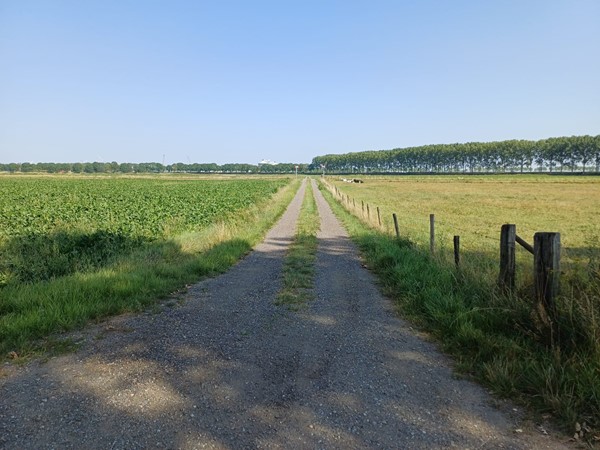 Medium property photo - Driekwartweg, 4551 LS Sas van Gent