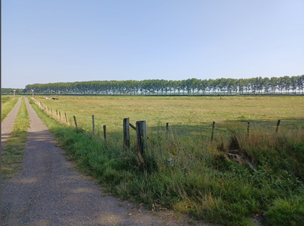 Medium property photo - Driekwartweg, 4551 LS Sas van Gent