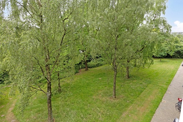 Medium property photo - Zangvogelweg 14, 3815 DL Amersfoort