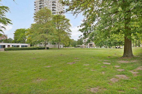 Medium property photo - Zangvogelweg 14, 3815 DL Amersfoort