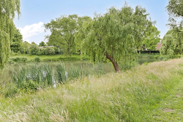 Medium property photo - Zangvogelweg 14, 3815 DL Amersfoort
