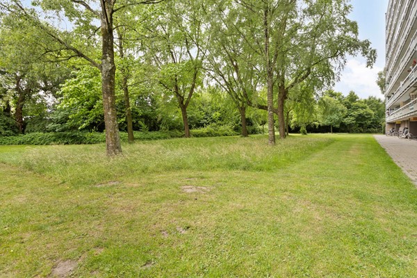 Medium property photo - Zangvogelweg 14, 3815 DL Amersfoort