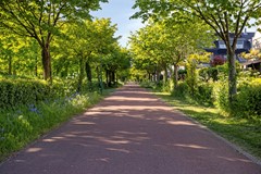 Stadsmuur63991RZHouten-38.jpg