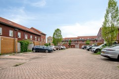 FossaIberica473995XHHouten-26.jpg