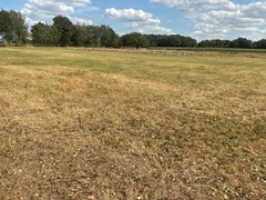 Kelreweg 2, 7035 DE Kilder - IMG_3842.jpg