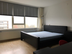 Rented: Everaertstraat 351, 3067 VK Rotterdam