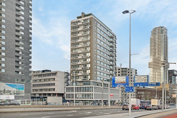 TOP uitzicht op de Erasmusbrug
Monumentaal