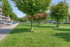 Stroveer653032GBRotterdam-30.jpg