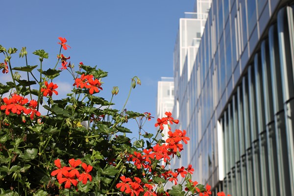 Medium property photo - Halvemaanpassage 87, 3011 DL Rotterdam