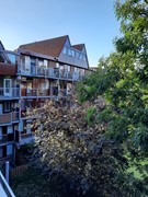 WhatsApp Image 2020-08-18 at 11.16.33.jpeg