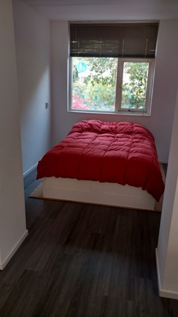 Medium property photo - Aart van der Leeuwstraat 29, 3069 WH Rotterdam