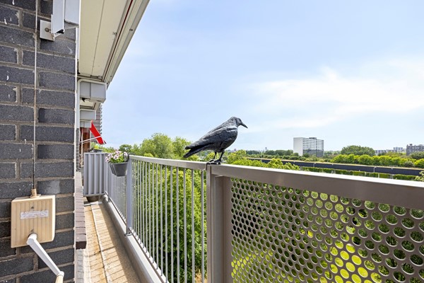 Medium property photo - Chopinplein 192, 3122 VM Schiedam