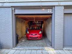 IMG_7923.jpg