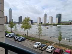 20240419_130011.jpg