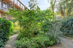 For rent: Van Weelstraat 25, 3022 ZB Rotterdam
