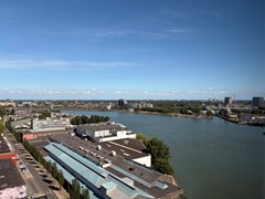 IMG_3918.jpeg