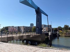 IMG_3936.jpeg