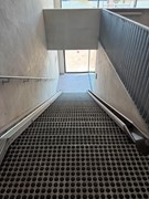 IMG_3927.jpeg