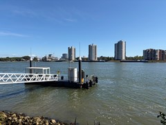 IMG_3931.jpeg