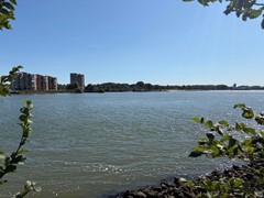 IMG_3932.jpeg