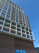 IMG_3933.jpeg
