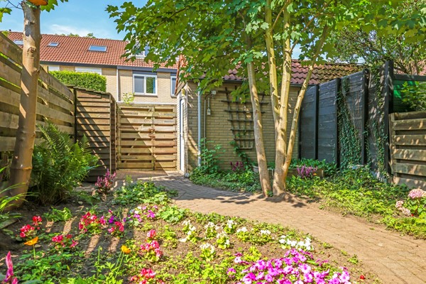 Medium property photo - Alkmaarsingel 233, 6843 WG Arnhem