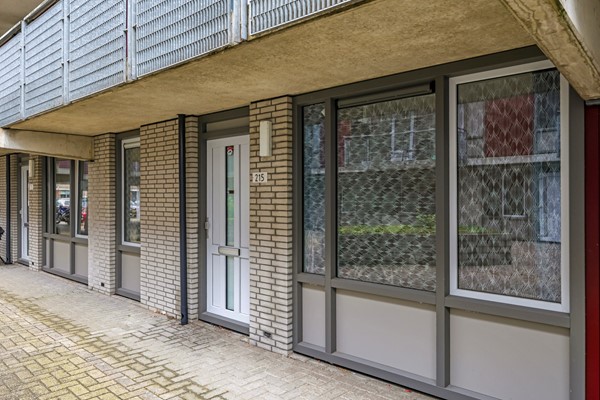 Medium property photo - Dr. Willem Dreessingel 215, 6836 CS Arnhem