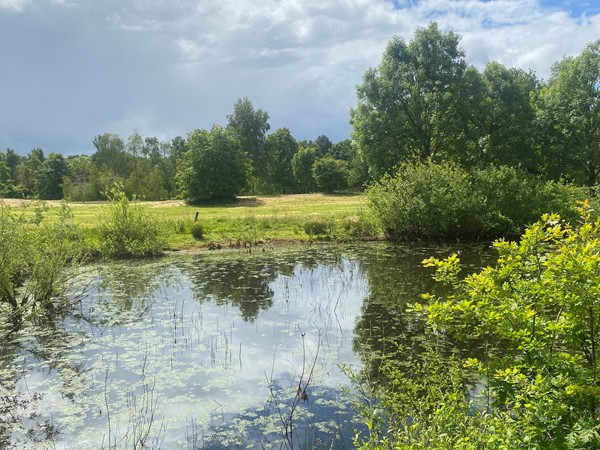 Medium property photo - Zevenbergjesweg 1-38, 3781 NV Voorthuizen
