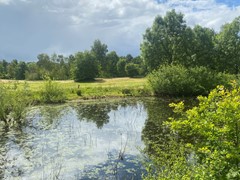 IMG_4369.JPEG