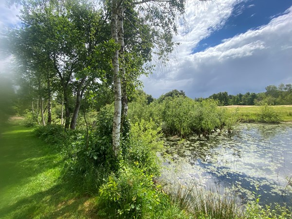 Medium property photo - Zevenbergjesweg 1-38, 3781 NV Voorthuizen
