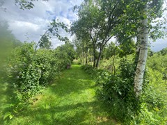 IMG_4367.JPEG