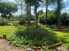 IMG_4496.JPEG