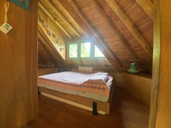 IMG_4516.JPEG