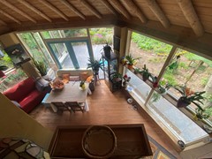 IMG_4519.JPEG
