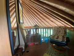 IMG_4520.JPEG